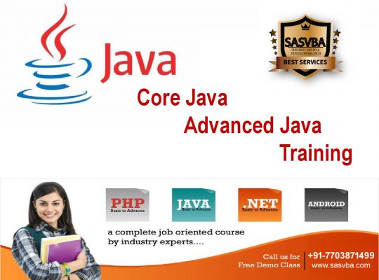 Best Java Android online Training delhi-Sasvba