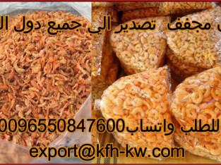 Wholesale export only dried shrimp to all countries