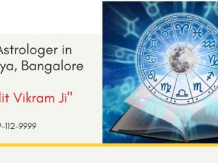 Pandit Vikram Ji Is A Best Astrologer In Mandya, Bangalore