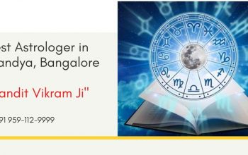Pandit Vikram Ji Is A Best Astrologer In Mandya, Bangalore