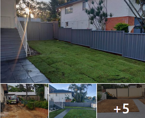 Colour bond fencing with double swinging gates and fresh new lawn