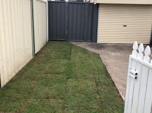 Colour bond fencing with single swinging gate and fresh new lawn