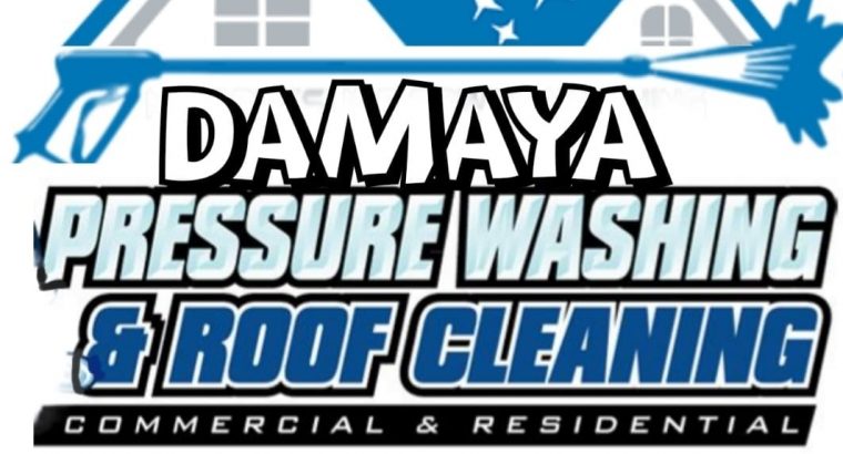 Damaya Pressure Washing & Roof Cleaning
