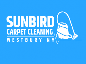 Carpet Cleaning in Westbury