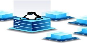 Hurry Up ! Buy Linux Web Hosting Uk