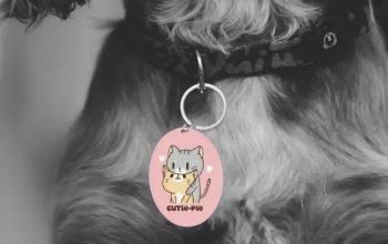 Design Personalised pet tags online with names | Custom pet tags online
