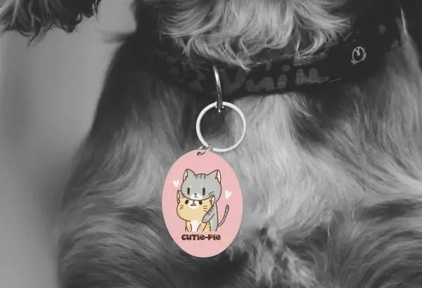 Design Personalised pet tags online with names | Custom pet tags online