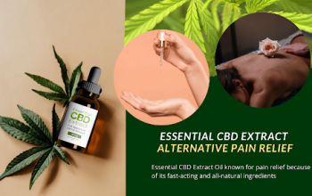 What Is Essential CBD Extract?