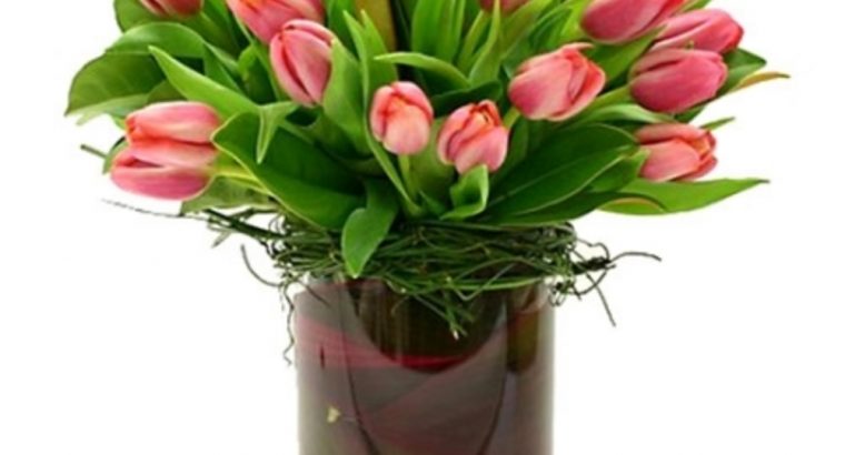 Beautiful Tulip Vase