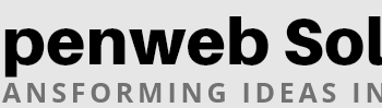 Web App Development Company in USA, India | OpenWeb Solutions