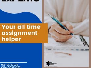 Assignment Experts Help