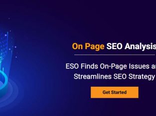 On page seo Analysis | Audit Website | SEO Analysis Tool