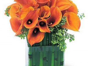 Orange Cala Lily Flower Vase