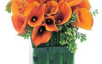 Orange Cala Lily Flower Vase