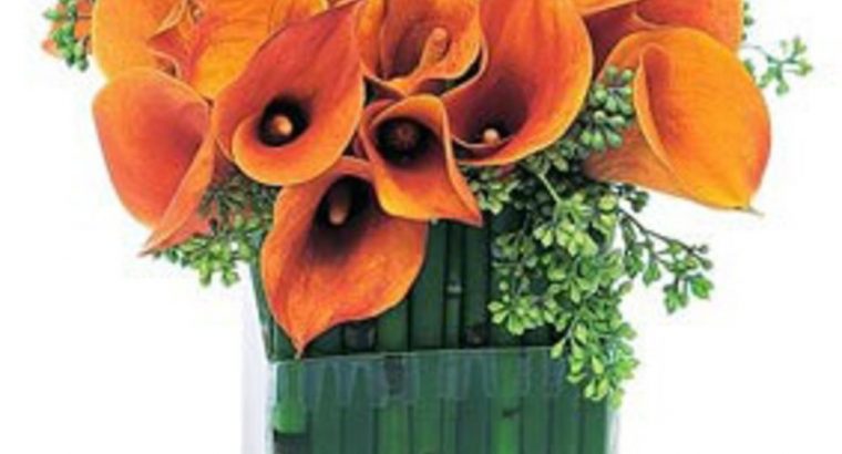 Orange Cala Lily Flower Vase