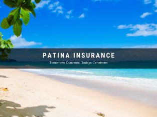 Patina Insurance
