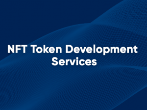It’s time to take ownership of your own asset | Hire NFT Token Development Company