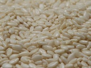 Hulled Sesame Seeds Suppliers