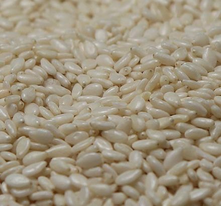 Hulled Sesame Seeds Suppliers