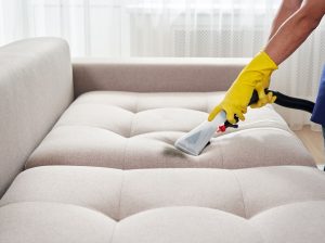 Sofa & Upholstery Cleaning Alexandria
