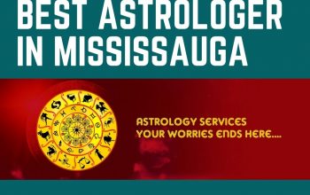 Meet This Famous Indian astrologer in Mississauga Online