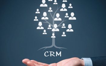 Top 3 CRM Software for Small Business
