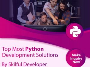Hire Expertise Python Developers On Monthly Basis – ThinkTanker