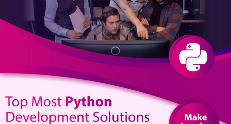 Hire Expertise Python Developers On Monthly Basis – ThinkTanker