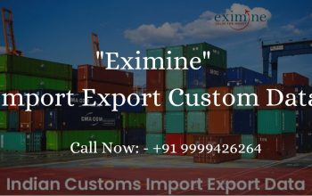 Best Import Export Data Provider In Delhi