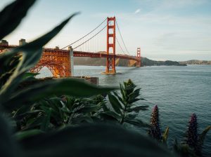Find the Cheapest flight to San Francisco, California