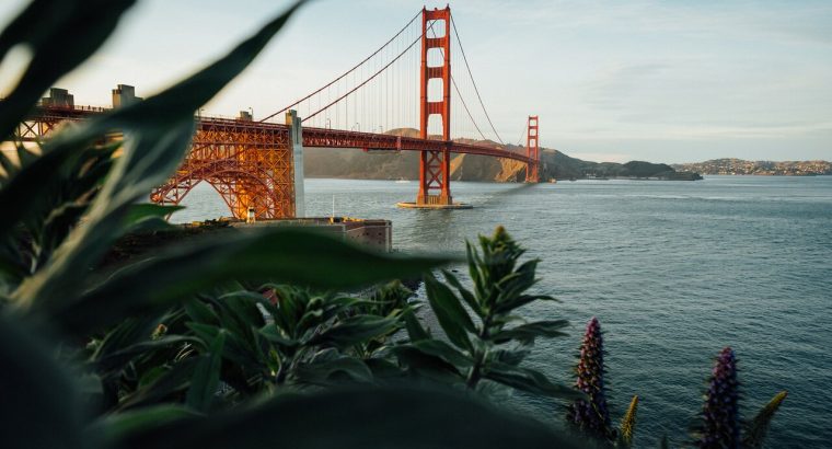 Find the Cheapest flight to San Francisco, California