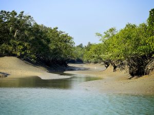 2 Night 3 Days Sundarban Tour From Kolkata
