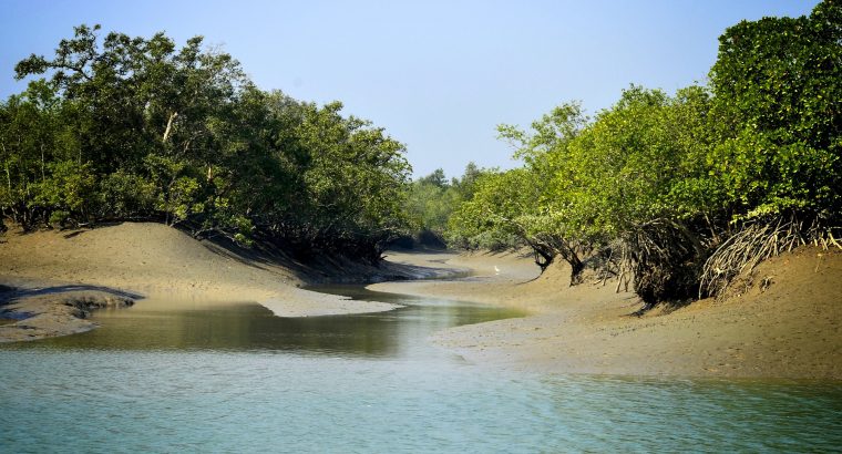 2 Night 3 Days Sundarban Tour From Kolkata