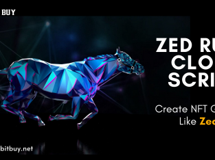 Zed Run Clone Script – Sellbitbuy