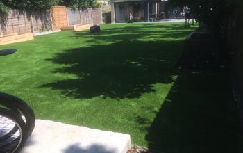 Best Services For Artificial Grass or Turf