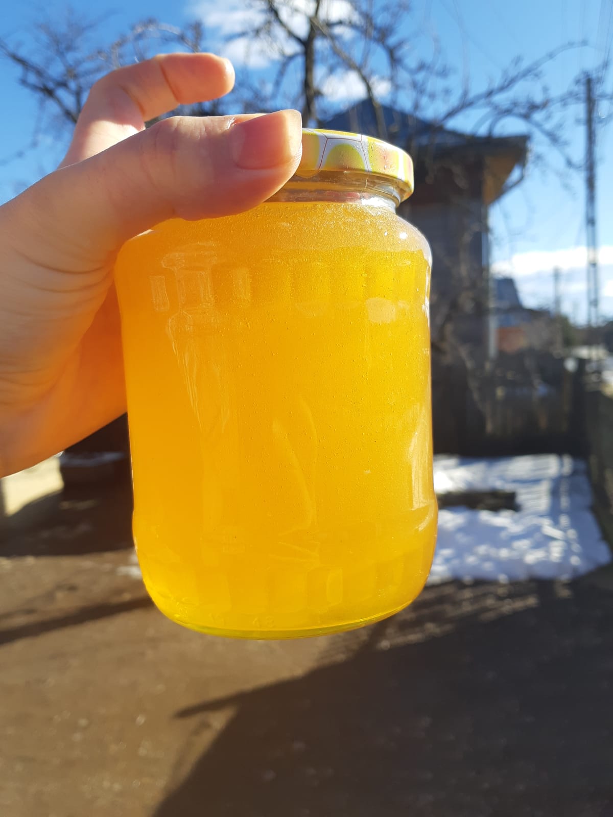 Lime (linden) honey wholesale – raw, 100% natural