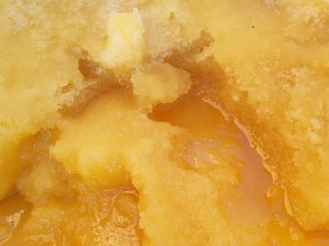 Polyfloral honey wholesale – raw, 100% natural