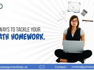 Avail assignment online UK service through GotoAssignmentHelp to score high!