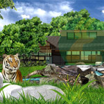 Zoo Consultants Services and Animal Exhibit Designers