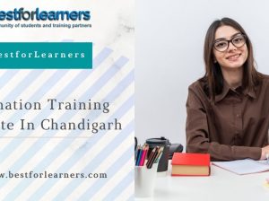 Animation and Multimedia training Institute in Chandigarh – BestforLearners
