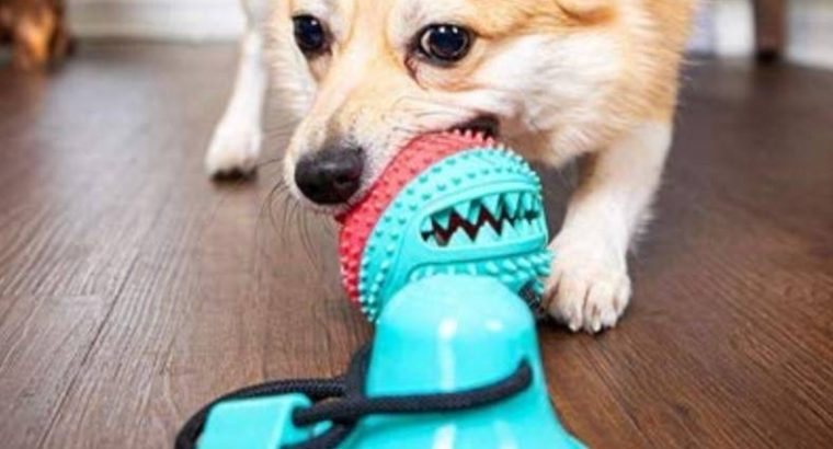 Buy Tug-of-Floor Dog Toy !