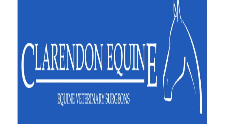 est Vets In Chelmsford | Online Appointment