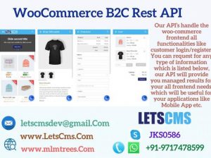 Rest API Plugin | WP REST API | LETSCMS Pvt. Ltd.