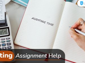 Cheap yet Effective Auditing Assignment Help Service
