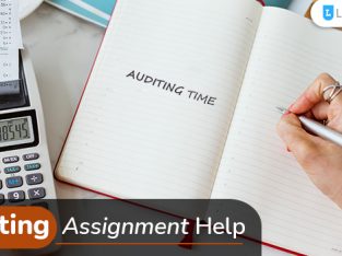 Cheap yet Effective Auditing Assignment Help Service