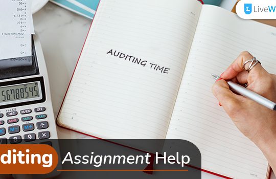 Cheap yet Effective Auditing Assignment Help Service