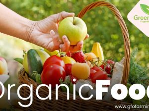Organic Fruits and Vegetables in Delhi