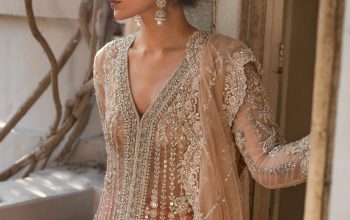 Buy Pakistani Nikkah Dresses for Women