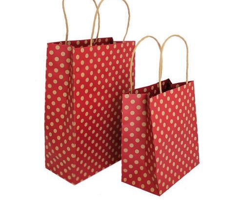 Carry Bag Manufacturer in India