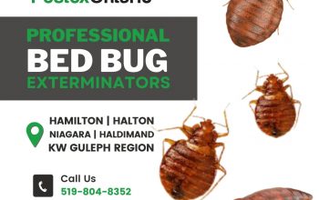 Bed Bug Exterminator in Hamilton